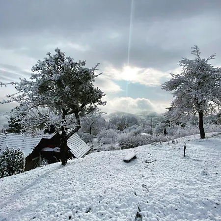 Libling Stiavnicky *