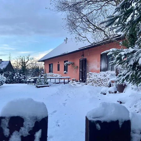 Libling Ruzovy * Banska Stiavnica