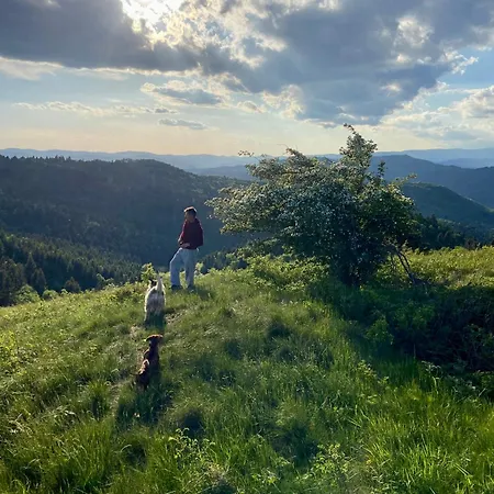 Libling Stiavnicky Летний дом Банска-Штьявница