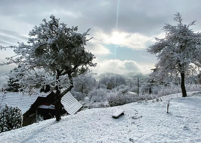 Libling Stiavnicky *