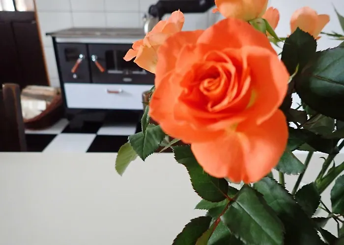 Libling Stiavnicky Casa di campagna Banská Štiavnica